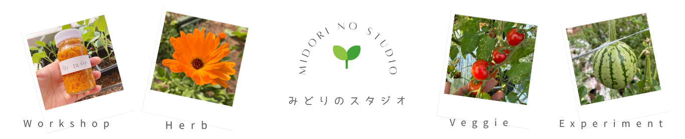 みどりのスタジオ