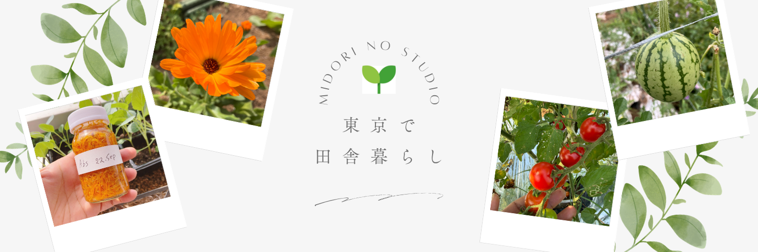 みどりのスタジオ